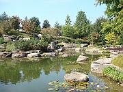 Western Michigan [2009] 262